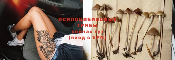 спиды Абдулино