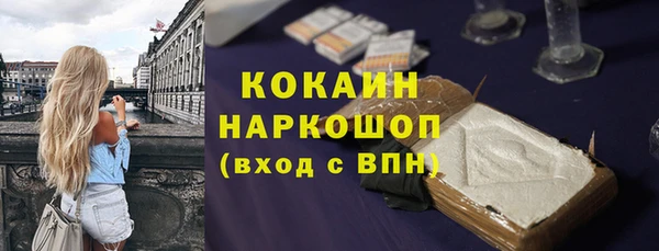 бошки Алексин