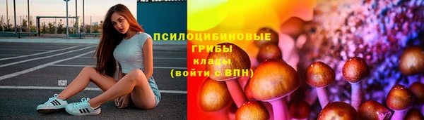 бошки Алексин