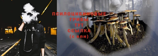 индика Алзамай