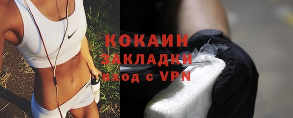 индика Алзамай