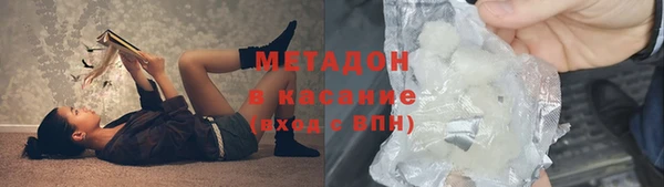 индика Алзамай