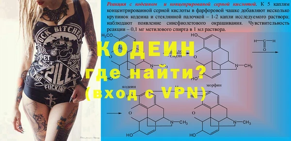 индика Алзамай