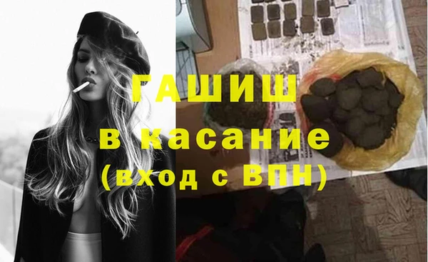 индика Алзамай