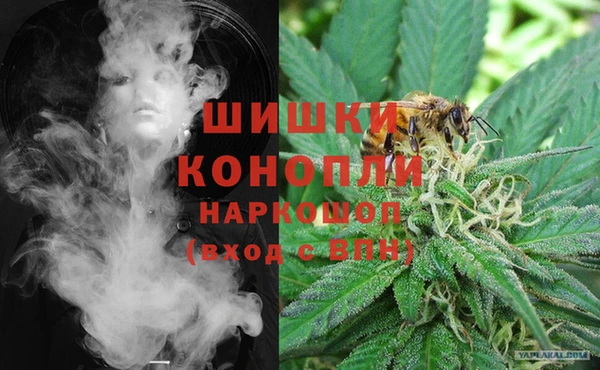 индика Алзамай