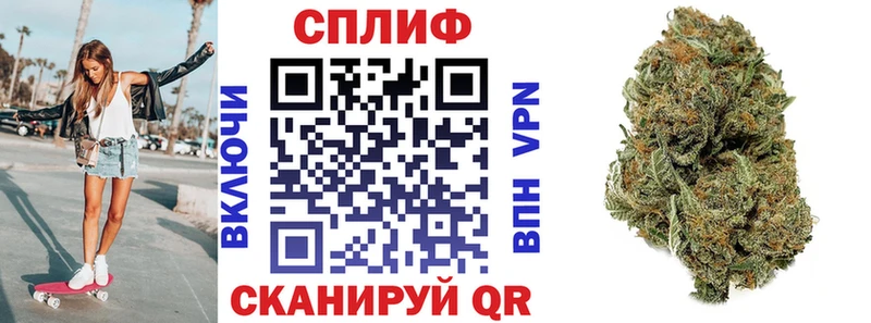 Конопля ГИДРОПОН  mega ссылка  Елизово 